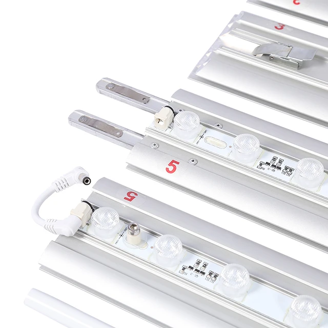 SEG Set-in 120MM Oversize Light Box--2.96×2.5m